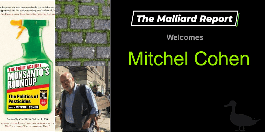 Mitchel Cohen