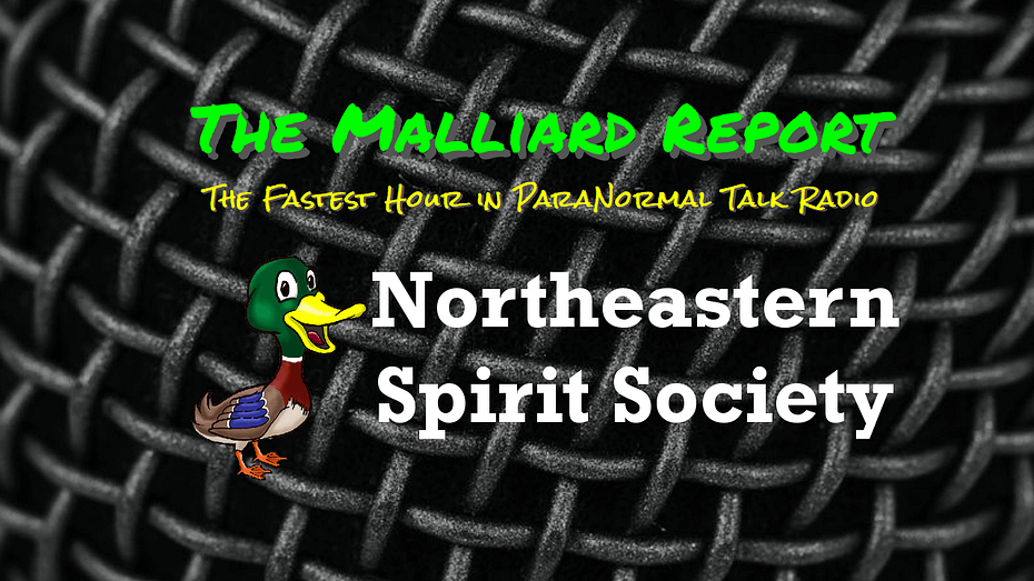 Northeastern Spirit Society