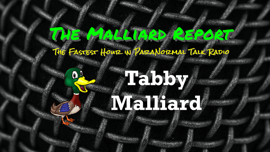 Tabby Malliard
