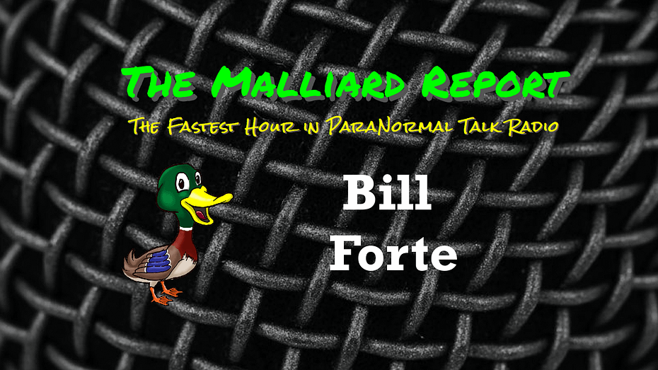 Bill Forte