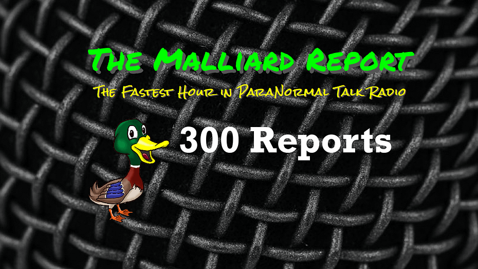 300 reports