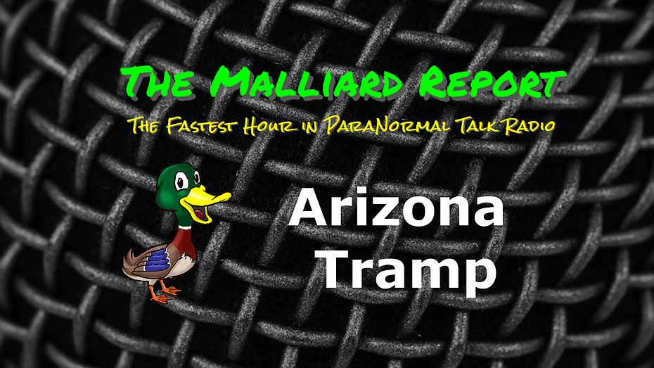 Arizona Tramp